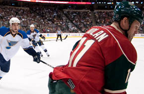 Minnesota Wild Game Photography